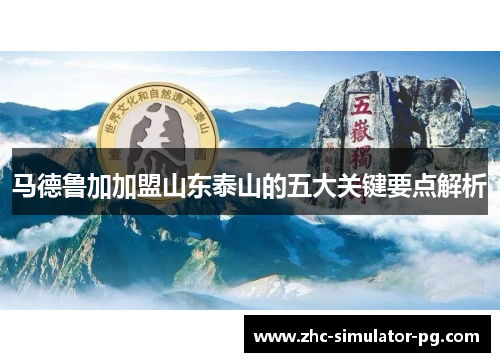 马德鲁加加盟山东泰山的五大关键要点解析